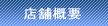 �X�܊T�v